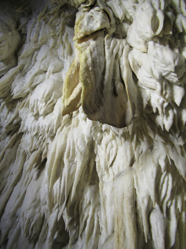 ０１８・ライコ―洞窟「鍾乳洞」０１・５１０.jpg